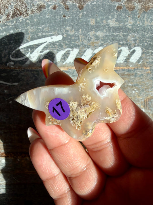 Gorgeous Indonesian Scenic Moss Mini Butterfly | Opt 17