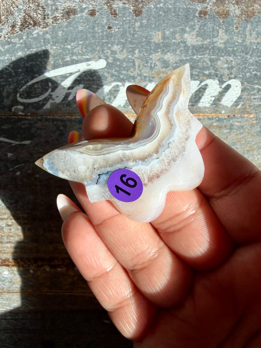 Gorgeous Indonesian Scenic Moss Mini Butterfly | Opt 16