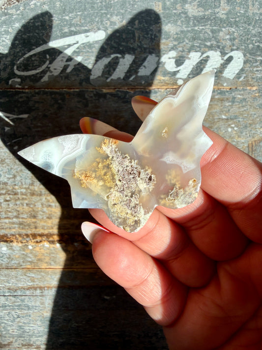 Gorgeous Indonesian Scenic Moss Mini Butterfly | Opt 4