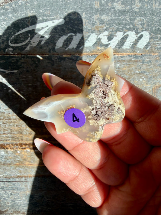 Gorgeous Indonesian Scenic Moss Mini Butterfly | Opt 4