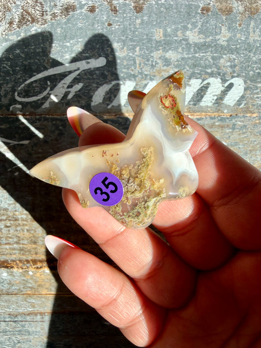 Gorgeous Indonesian Scenic Moss Mini Butterfly | Opt 35