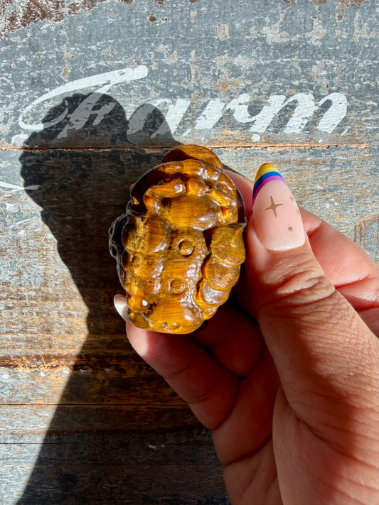 Tigers Eye Money Toad | Money Manifestation | Opt Y