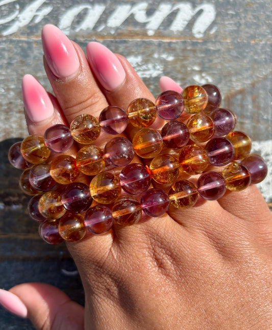 One (1) Citrine & Amethyst Bracelet | Wrist Size 6.5-6.75" | 10mm