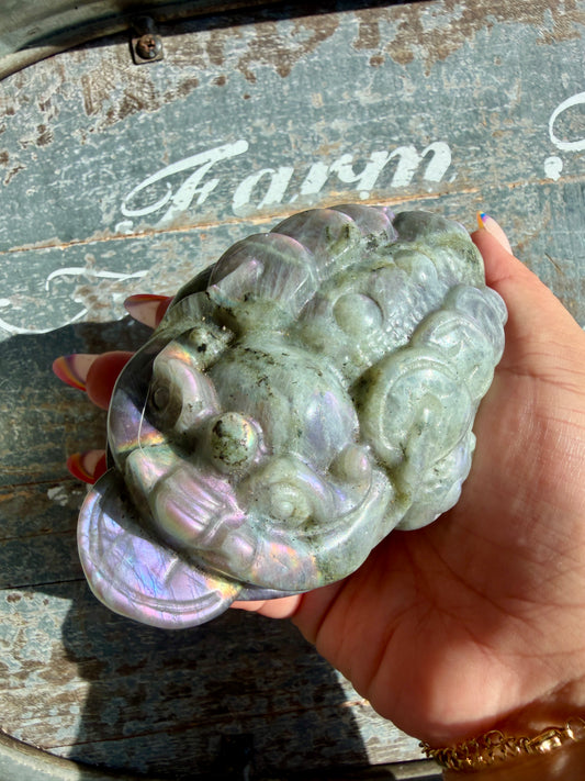 Flashy Large Labradorite Money Toad | Opt H