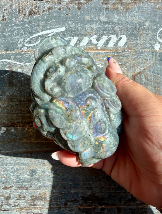 Flashy Large Labradorite Money Toad | Opt G
