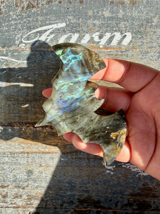 Flashy Labradorite Bat from Madagascar | Opt O
