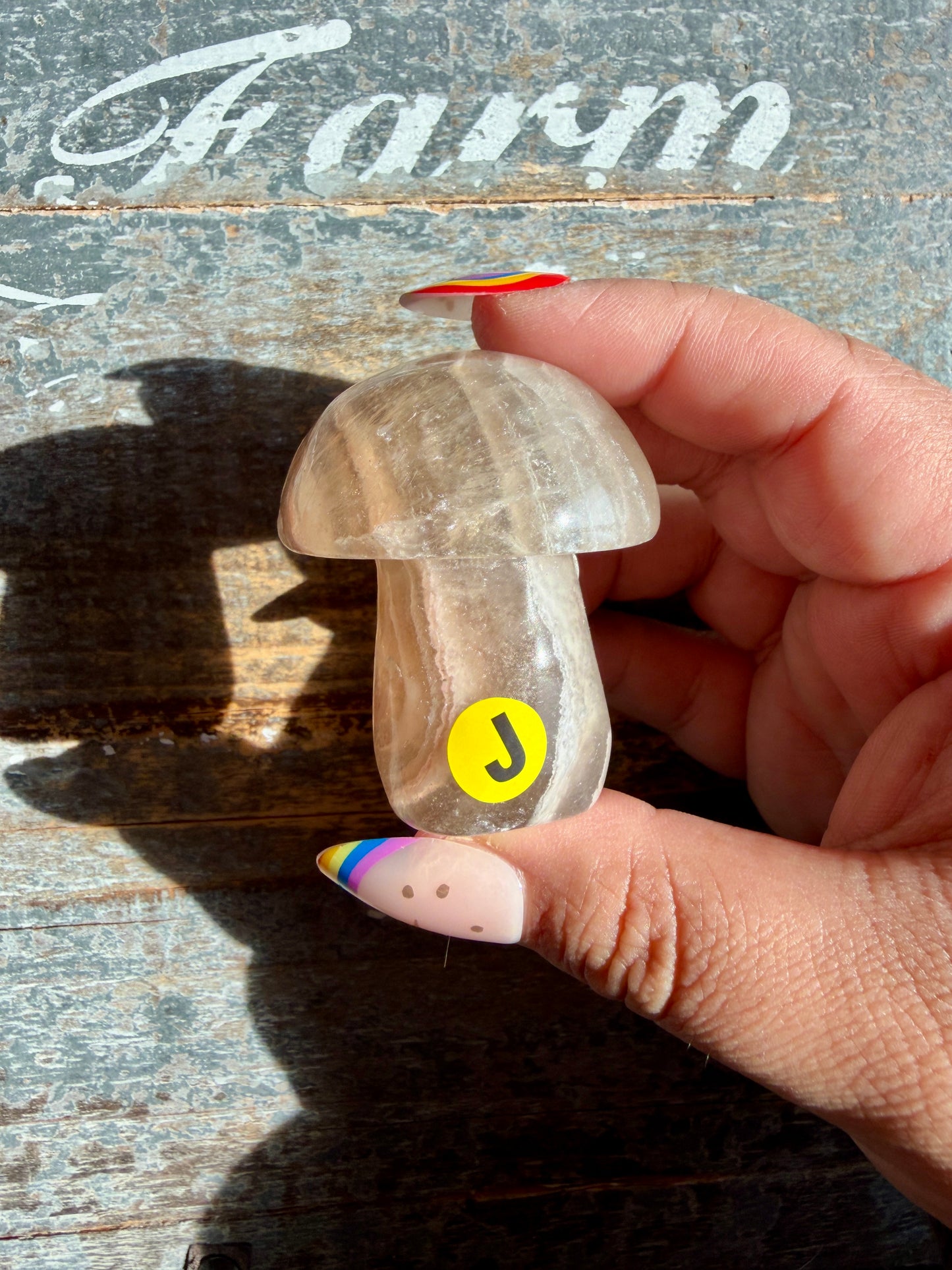 Adorable Fluorite Mushroom | Opt J