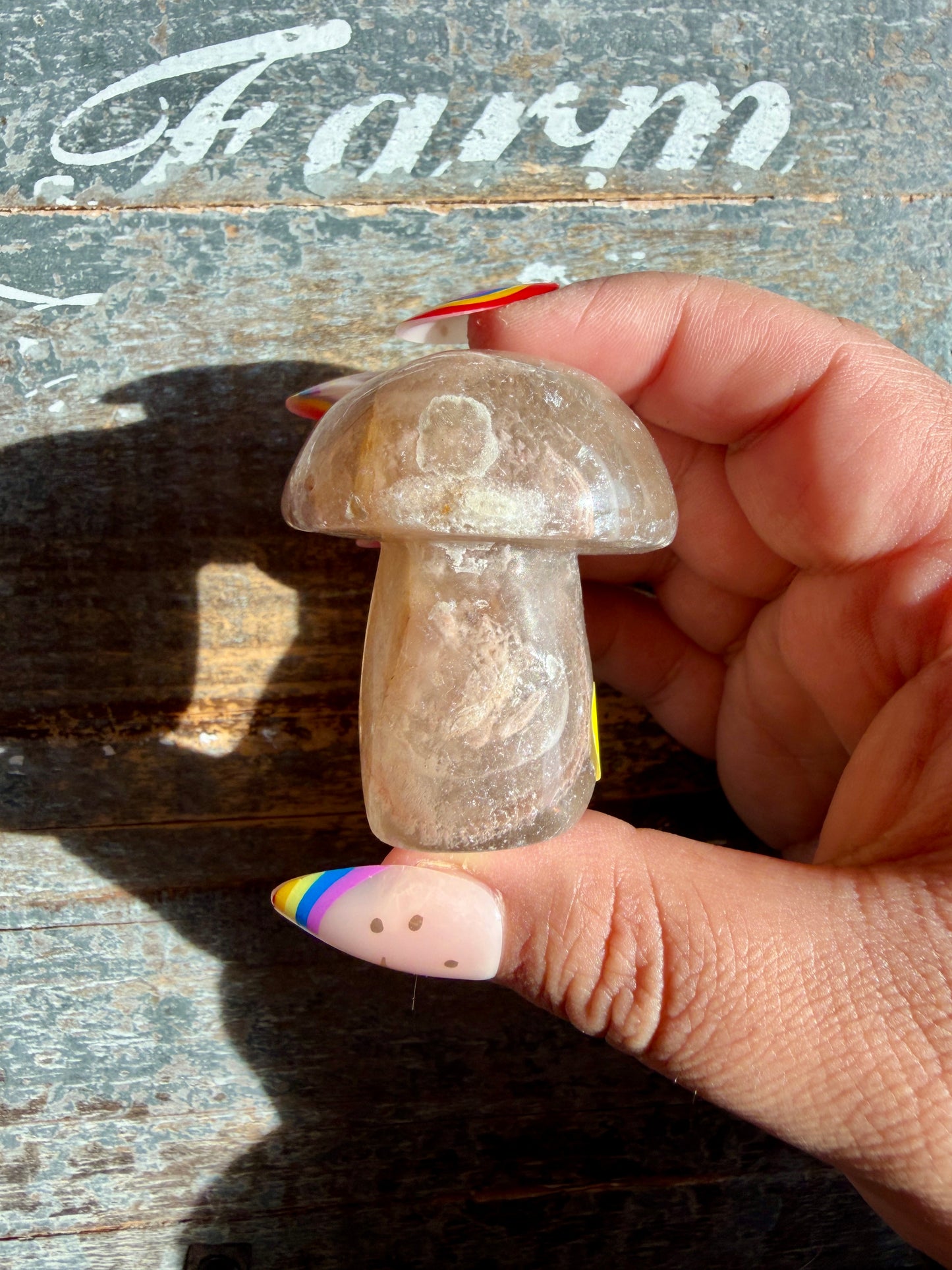 Adorable Fluorite Mushroom | Opt J