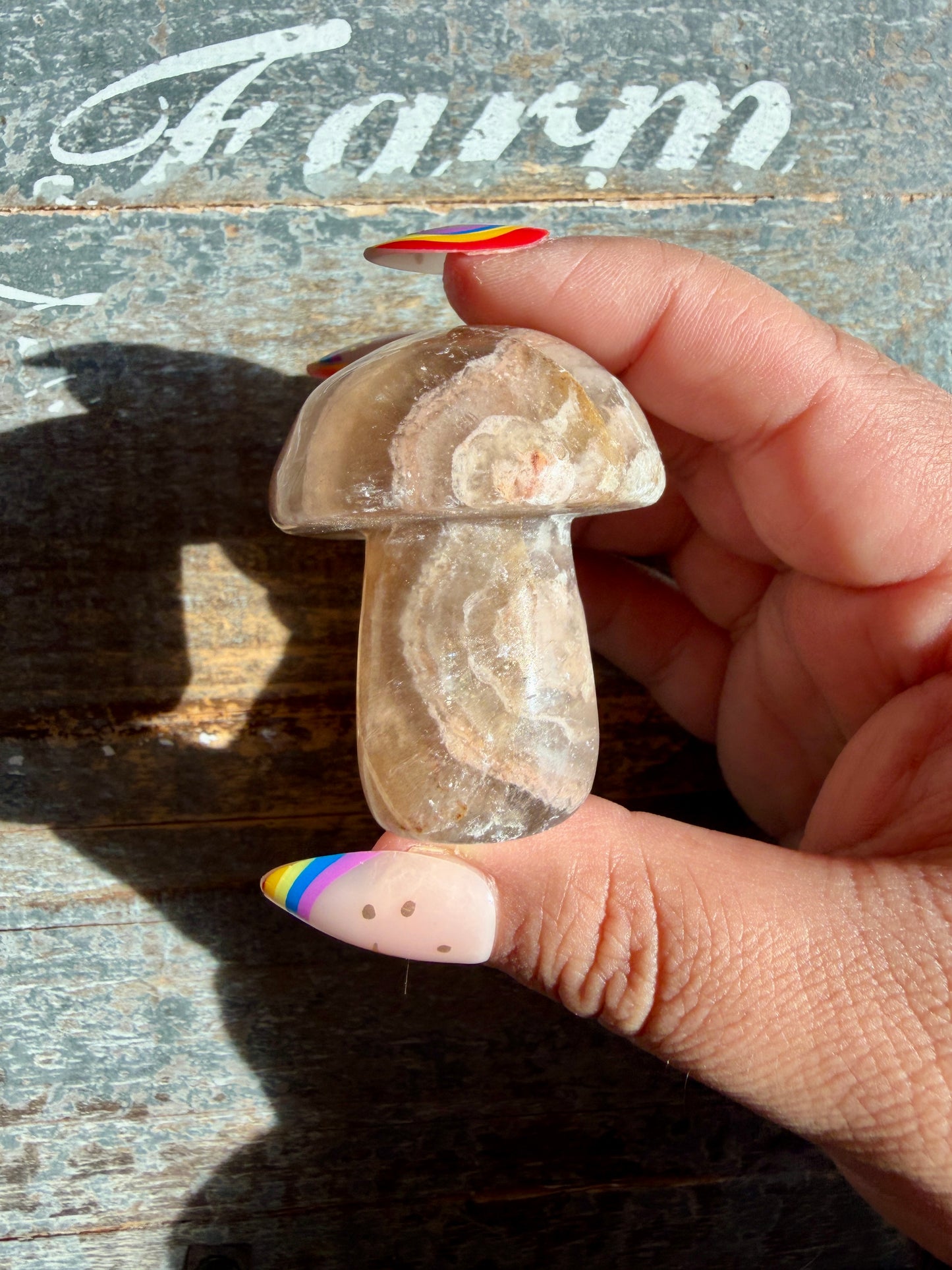 Adorable Fluorite Mushroom | Opt J