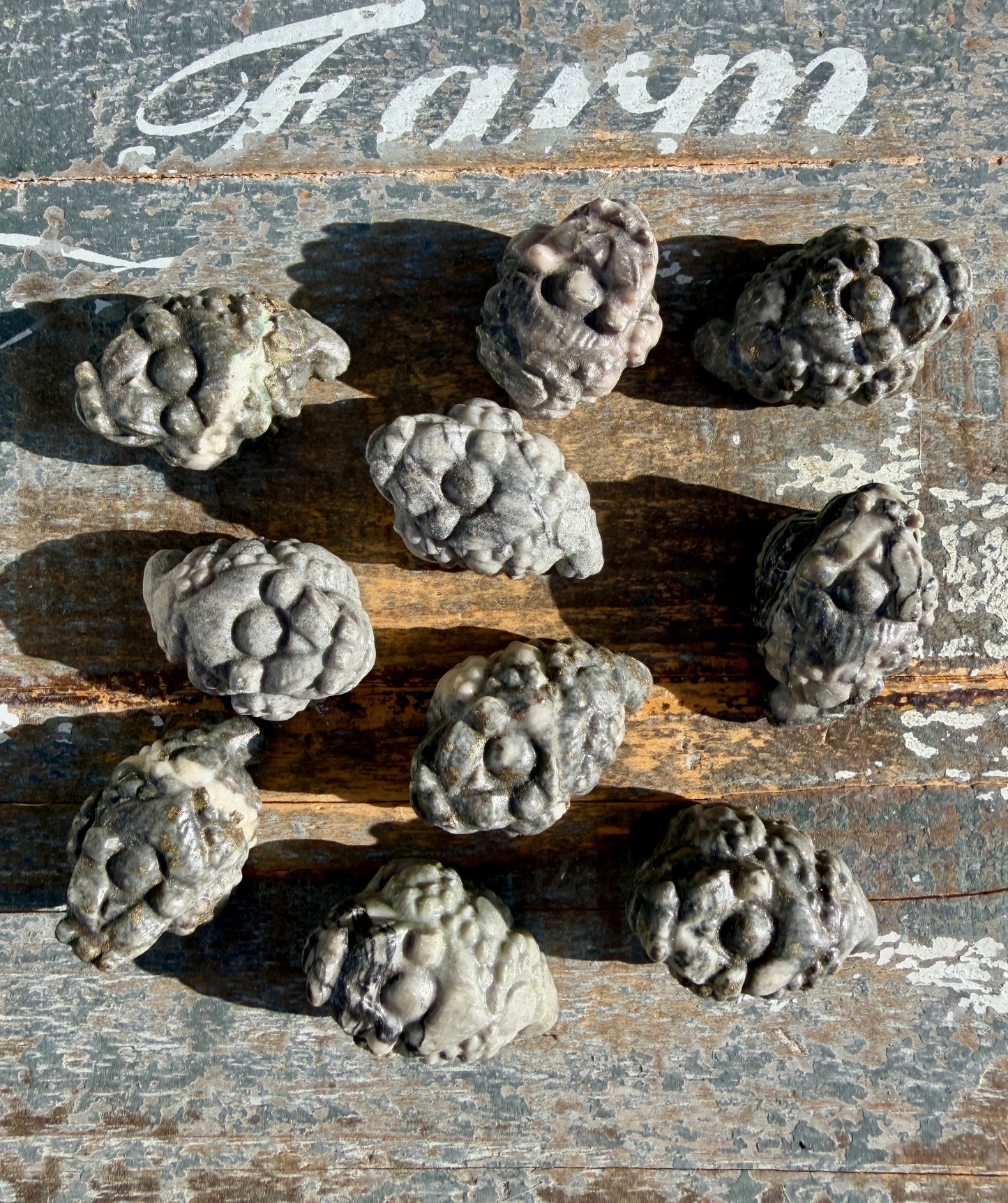 One (1) Picture Jasper Money Toad | Intuitively Chosen