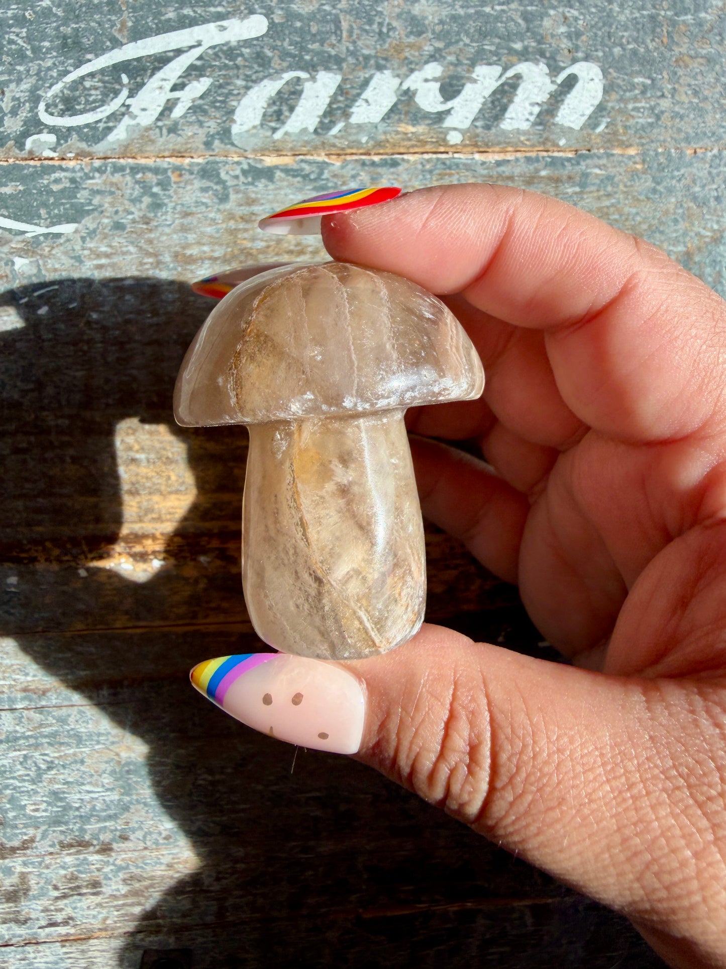 Adorable Fluorite Mushroom | Opt J