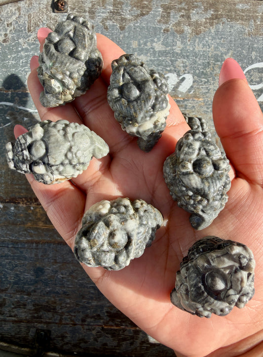 One (1) Picture Jasper Money Toad | Intuitively Chosen