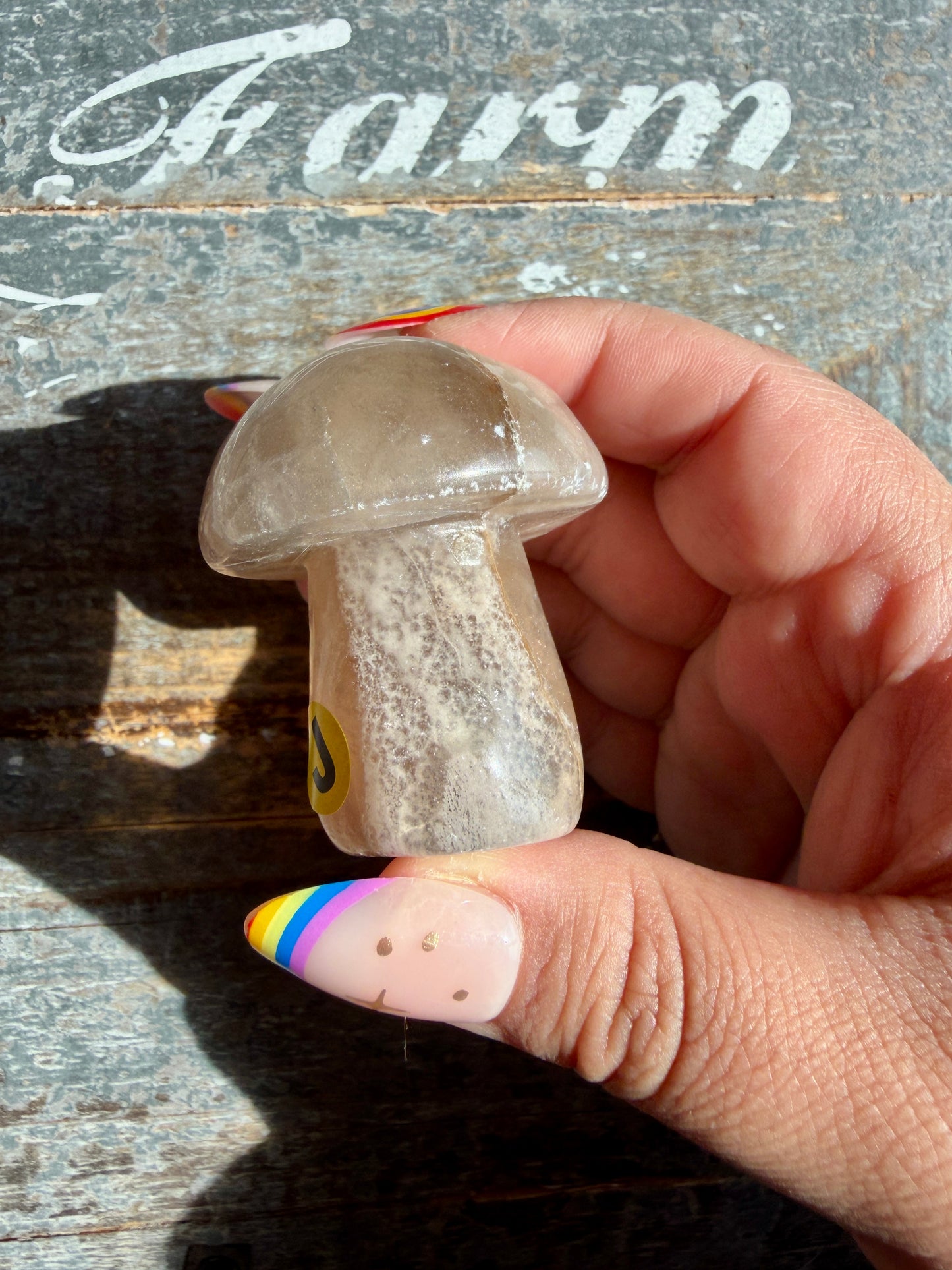 Adorable Fluorite Mushroom | Opt J