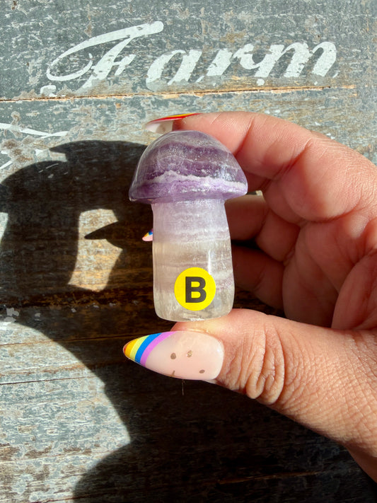 Adorable Fluorite Mushroom | Opt B