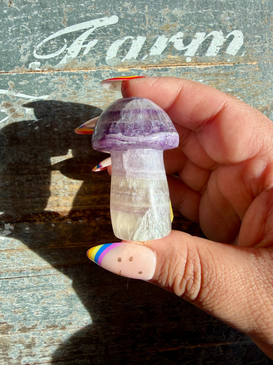 Adorable Fluorite Mushroom | Opt B