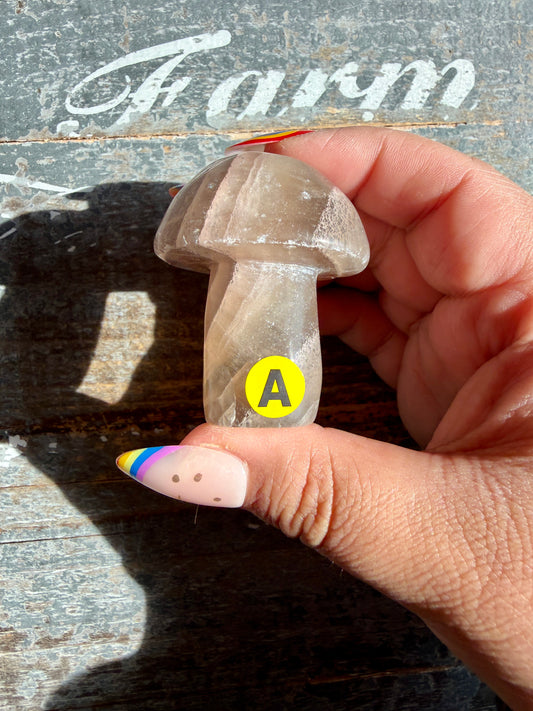 Adorable Fluorite Mushroom | Opt A