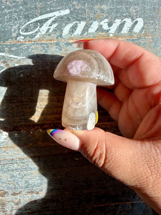 Adorable Fluorite Mushroom | Opt A