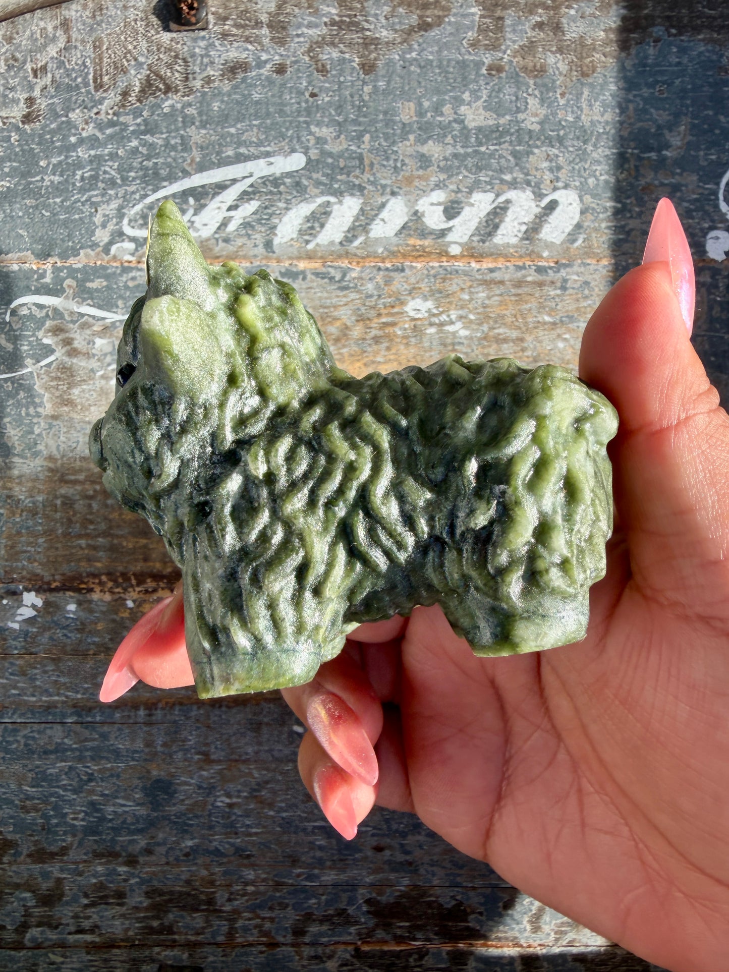 Adorable Serpentine Yak (Highland Cow) | Opt W