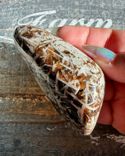 RARE Phlogopite Mica from New Jersey, USA - Sourced at the Denver Gem Show - Opt H