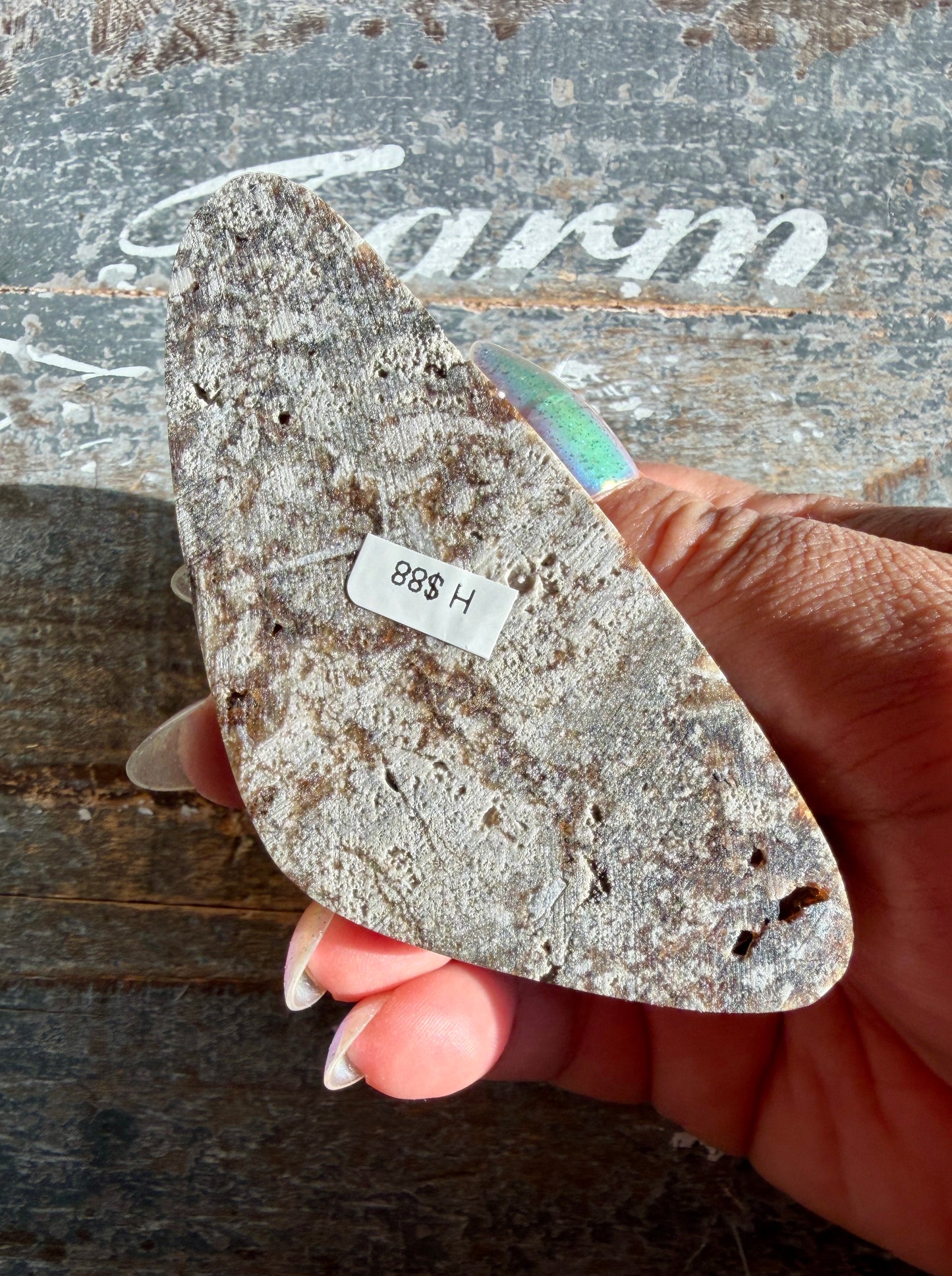 RARE Phlogopite Mica from New Jersey, USA - Sourced at the Denver Gem Show - Opt H