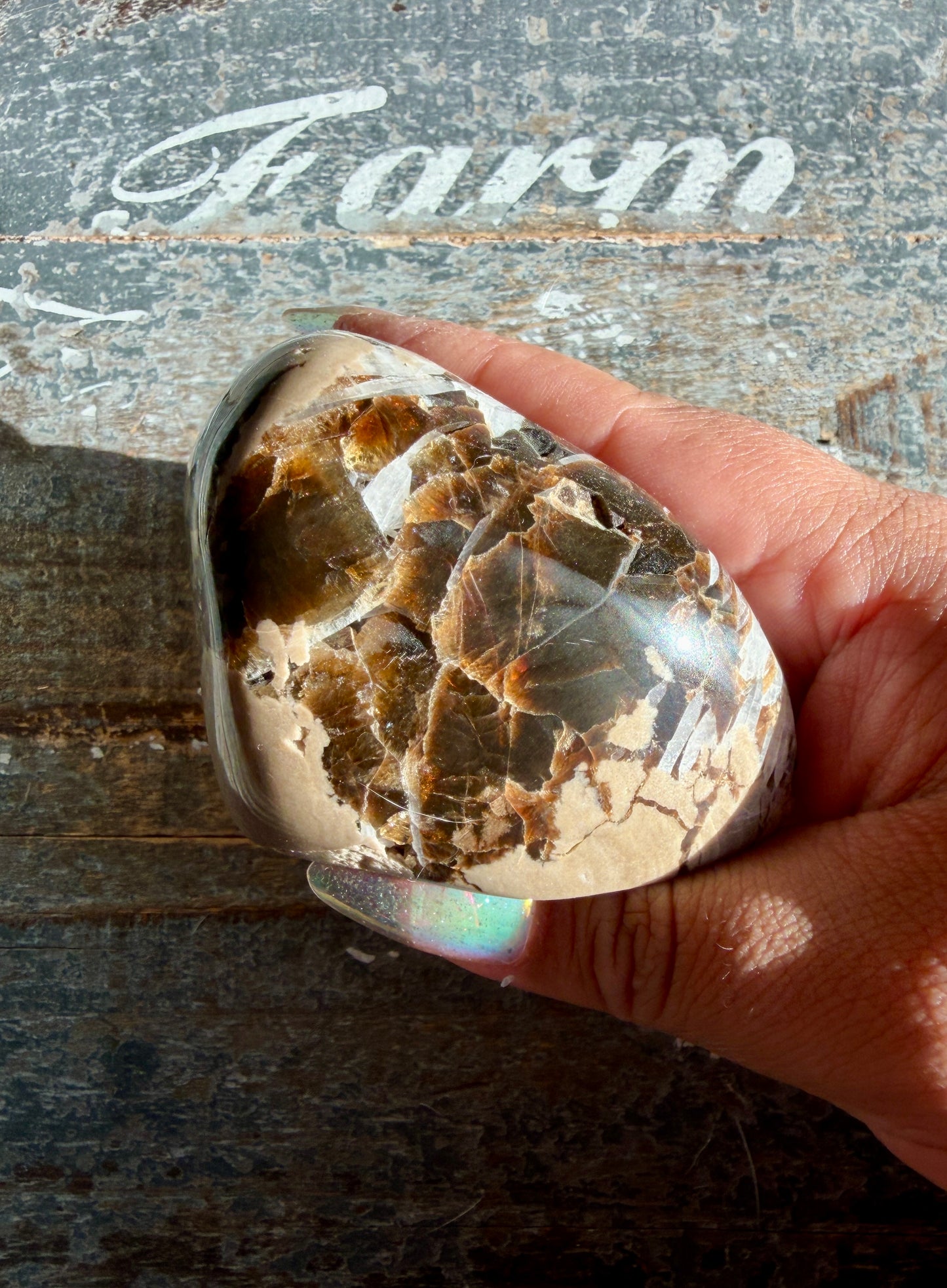 RARE Phlogopite Mica from New Jersey, USA - Sourced at the Denver Gem Show - Opt G