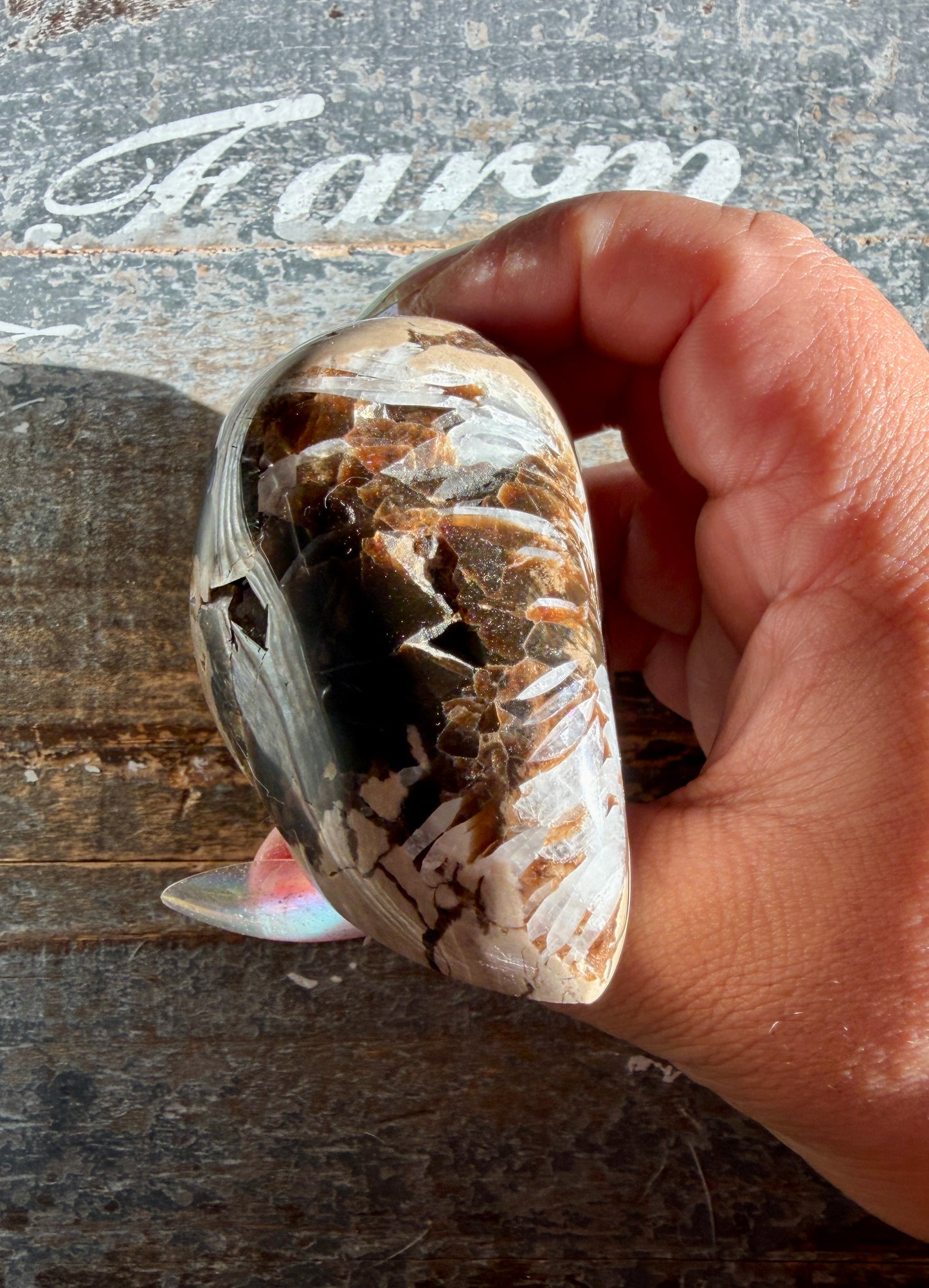 RARE Phlogopite Mica from New Jersey, USA - Sourced at the Denver Gem Show - Opt G