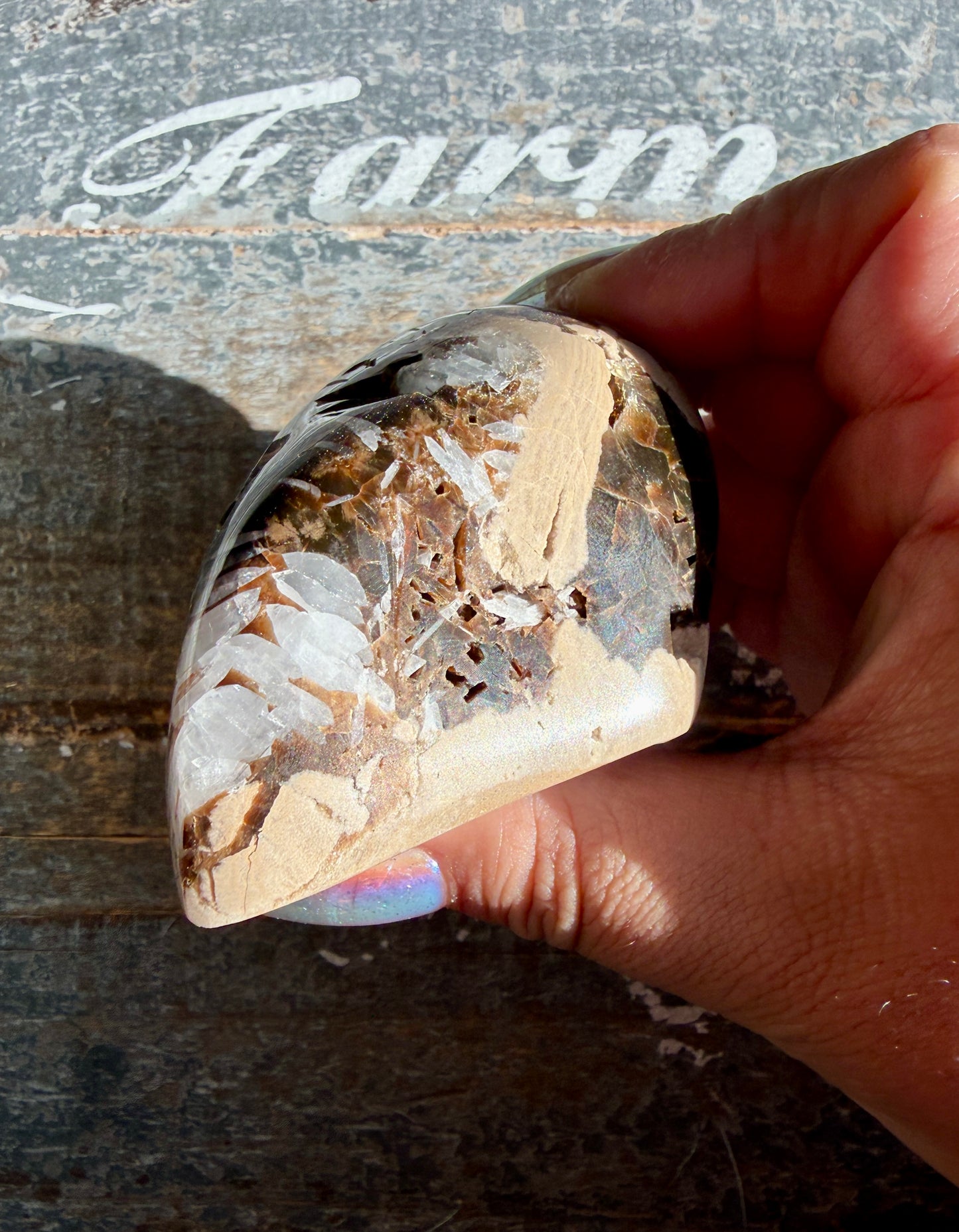 RARE Phlogopite Mica from New Jersey, USA - Sourced at the Denver Gem Show - Opt G