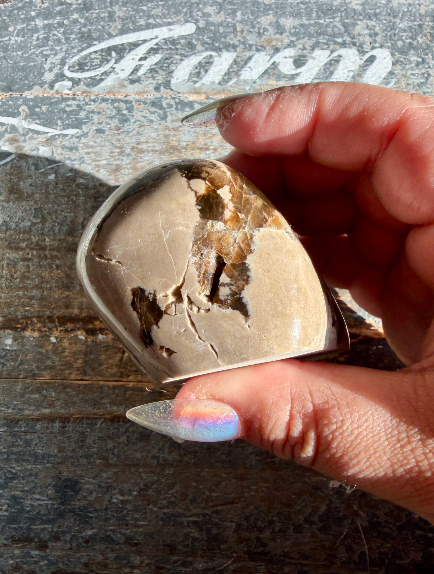 RARE Phlogopite Mica from New Jersey, USA - Sourced at the Denver Gem Show - Opt G