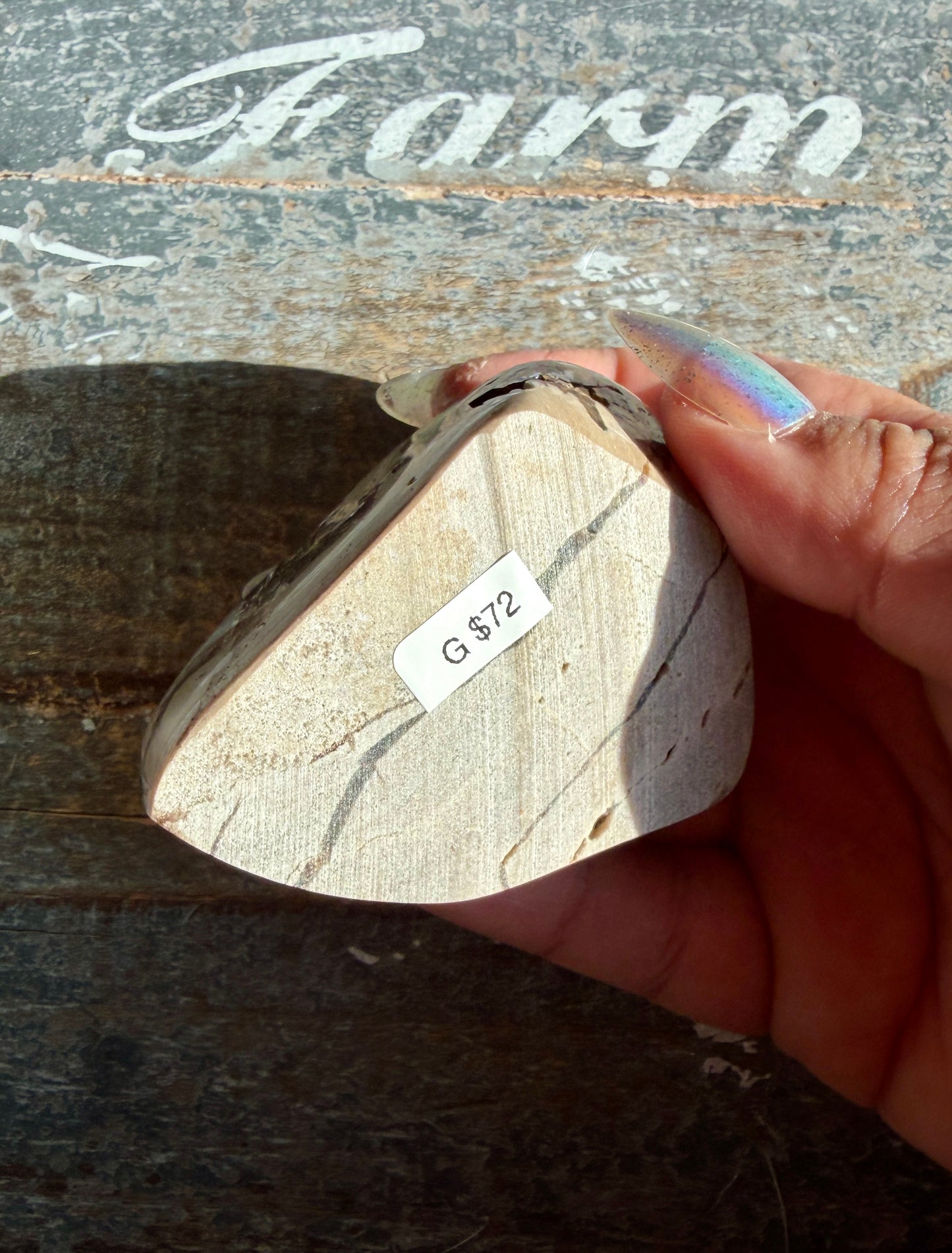 RARE Phlogopite Mica from New Jersey, USA - Sourced at the Denver Gem Show - Opt G