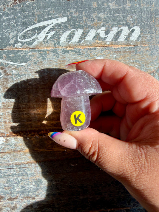 Adorable Fluorite Mushroom | Opt K