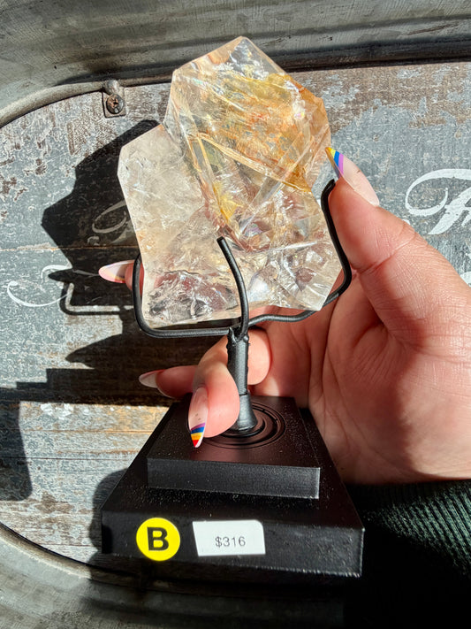 Gorgeous Golden Healer Freeform on Stand | Brazil | Opt B