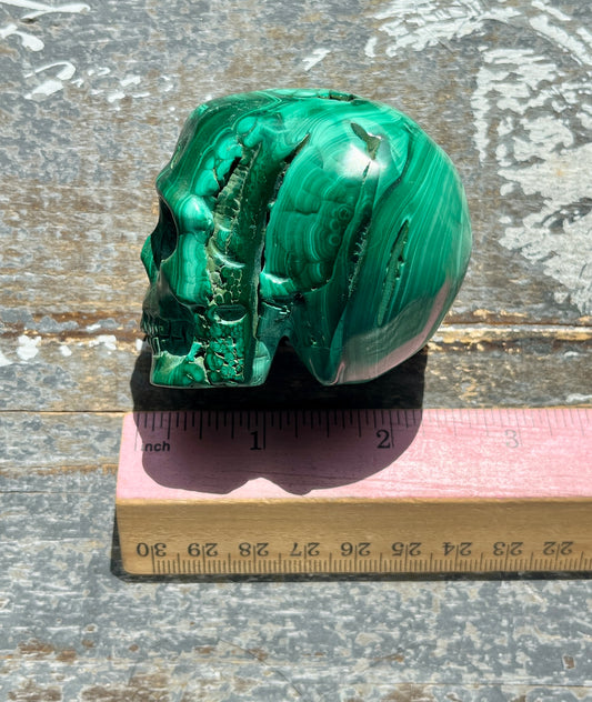 Gorgeous Hand Carved Medium Malachite Skull