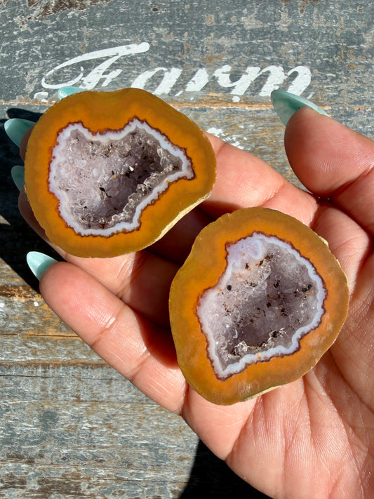Gorgeous Druzy Agate Geode | Opt B