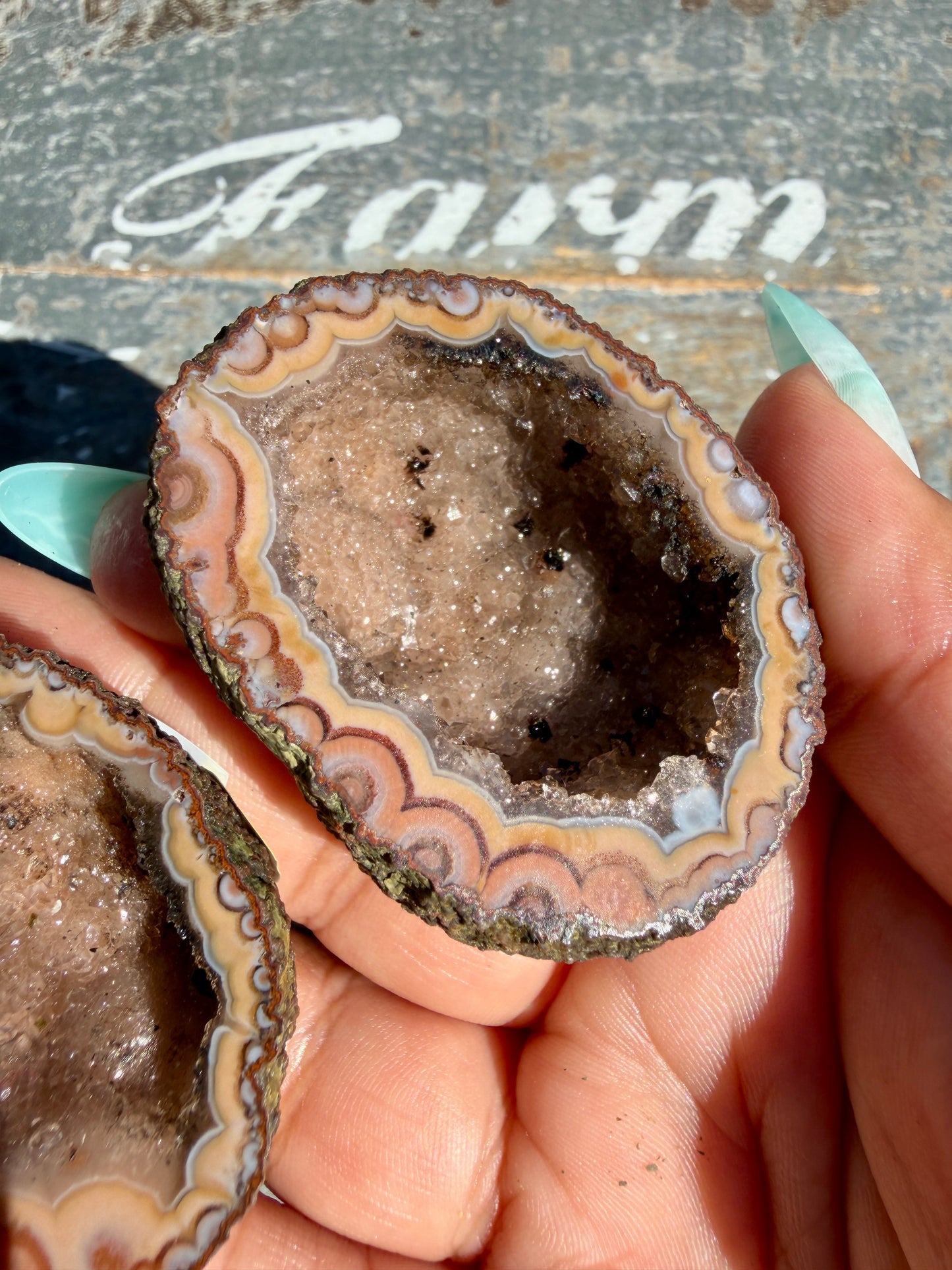 Gorgeous Druzy Agate Geode | Opt F