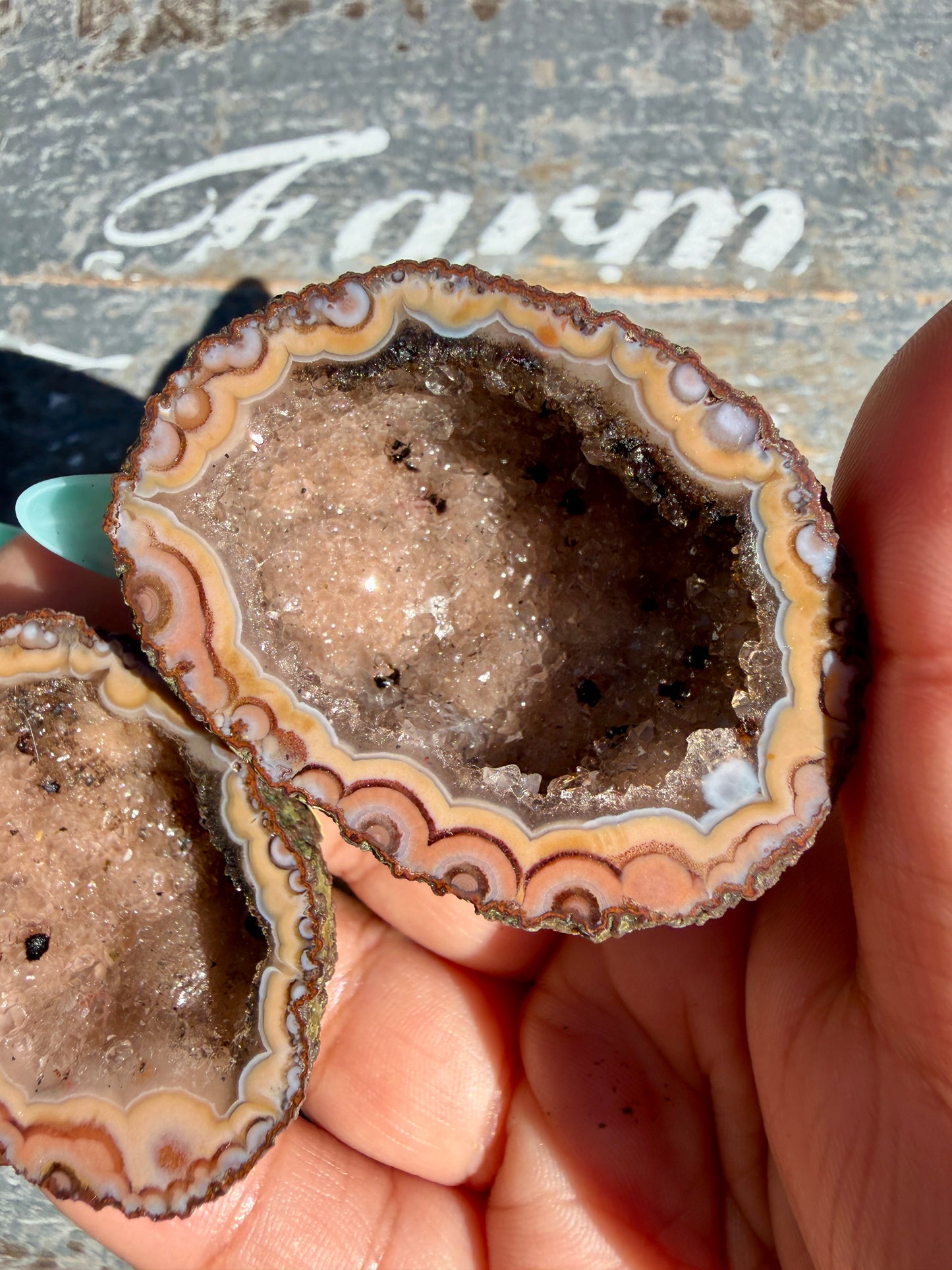 Gorgeous Druzy Agate Geode | Opt F