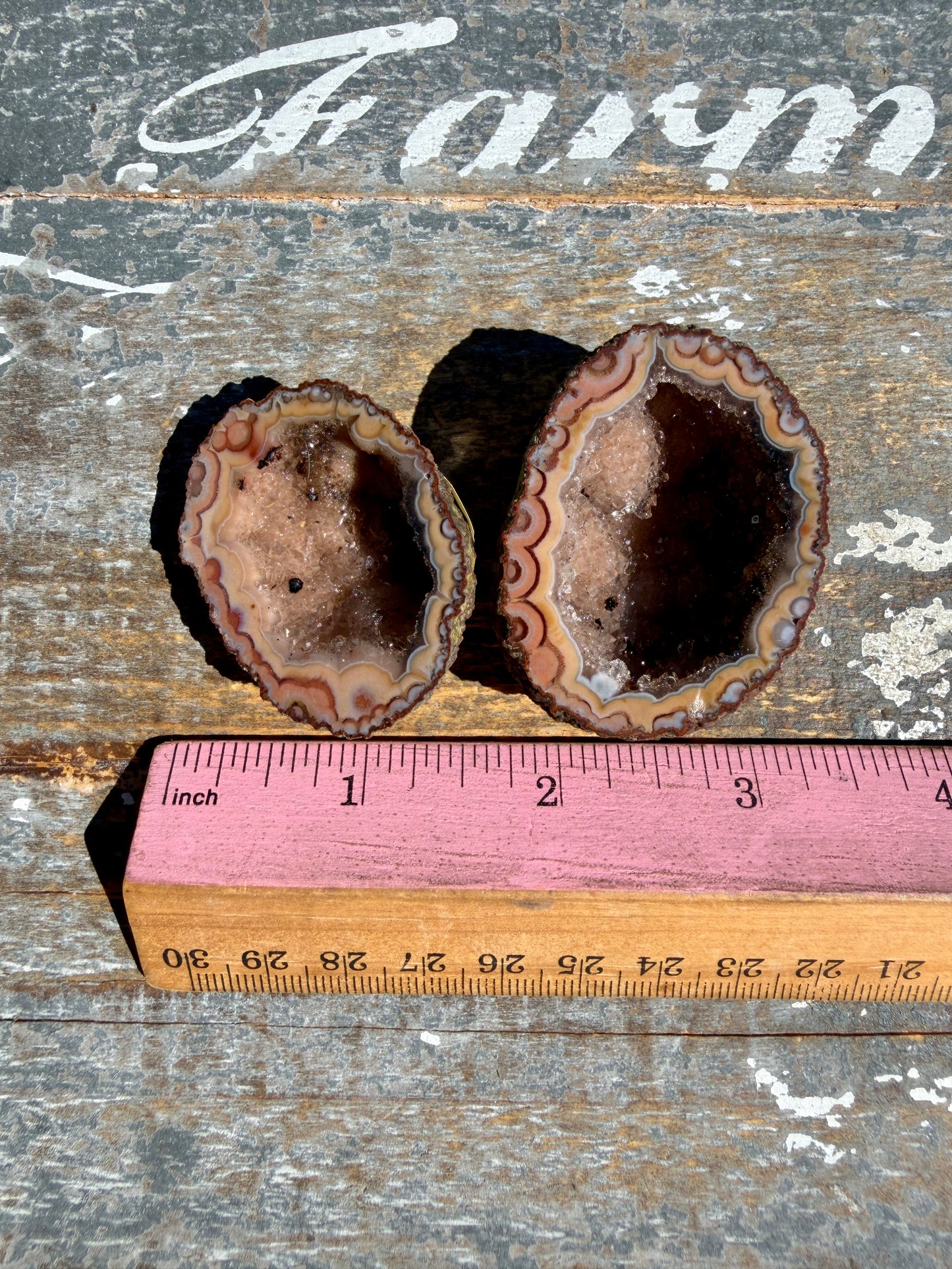 Gorgeous Druzy Agate Geode | Opt F