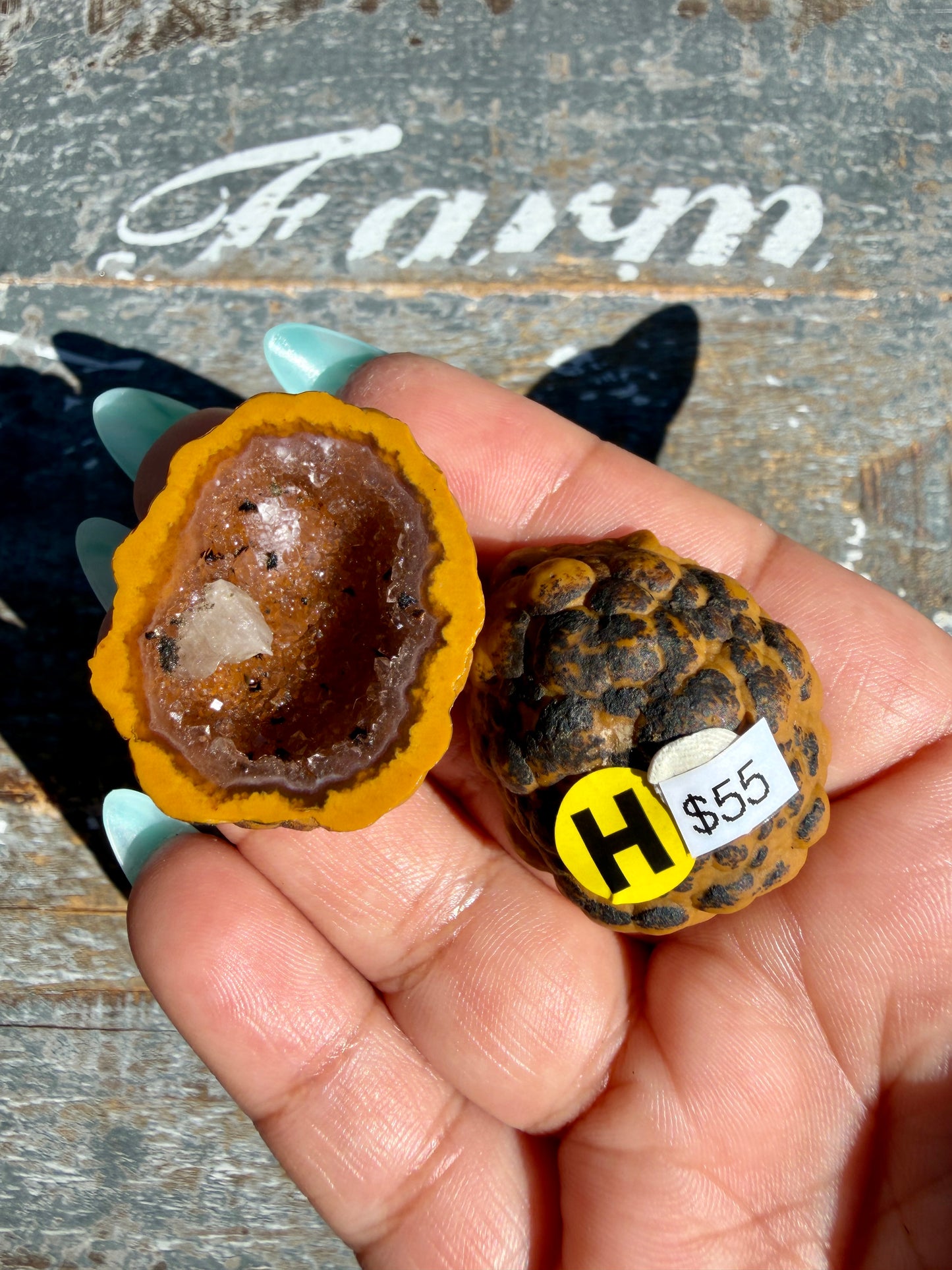 Gorgeous Druzy Agate Geode | Opt H