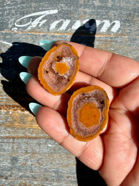 Gorgeous Druzy Agate Geode | Opt M