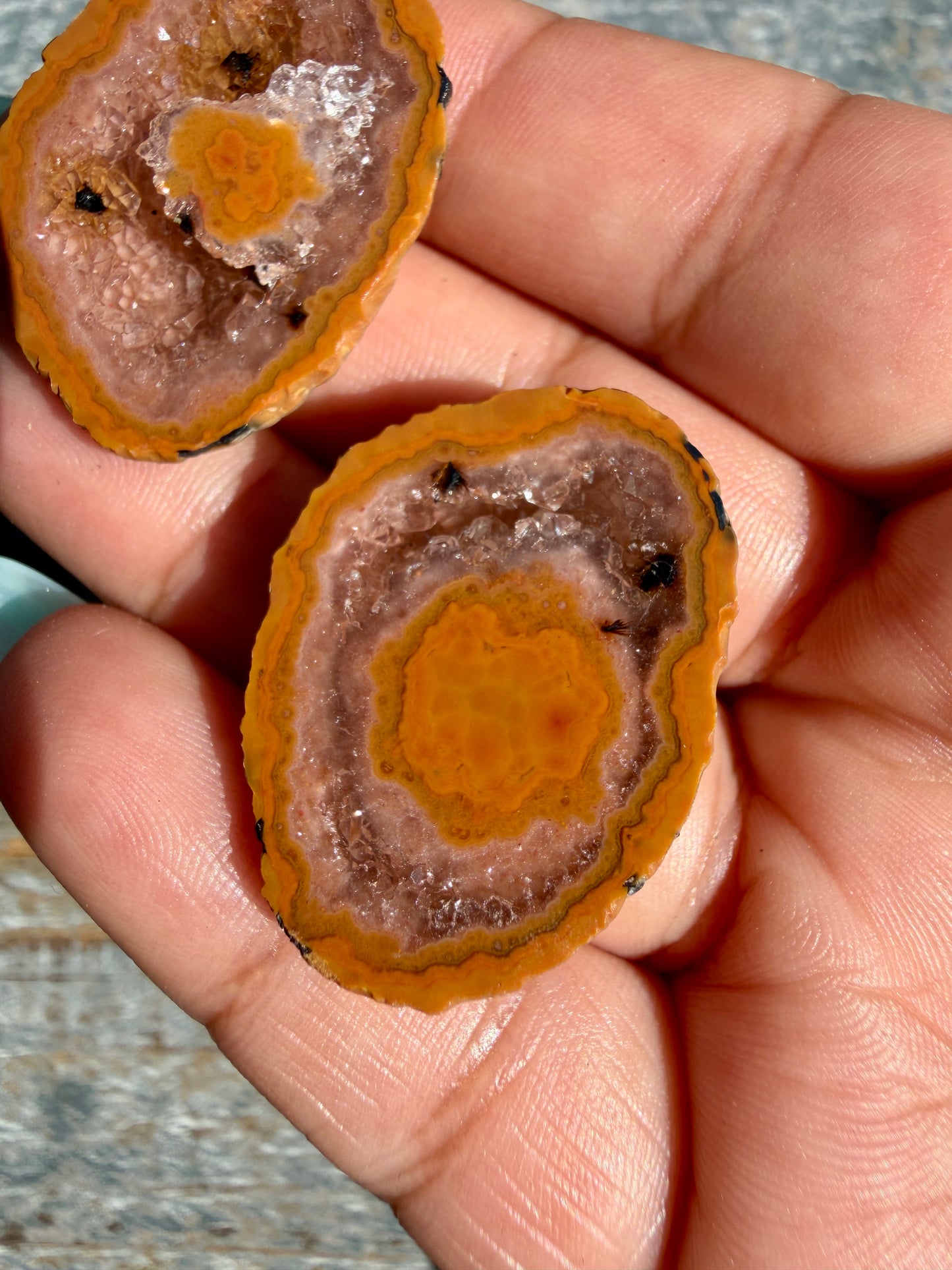 Gorgeous Druzy Agate Geode | Opt M