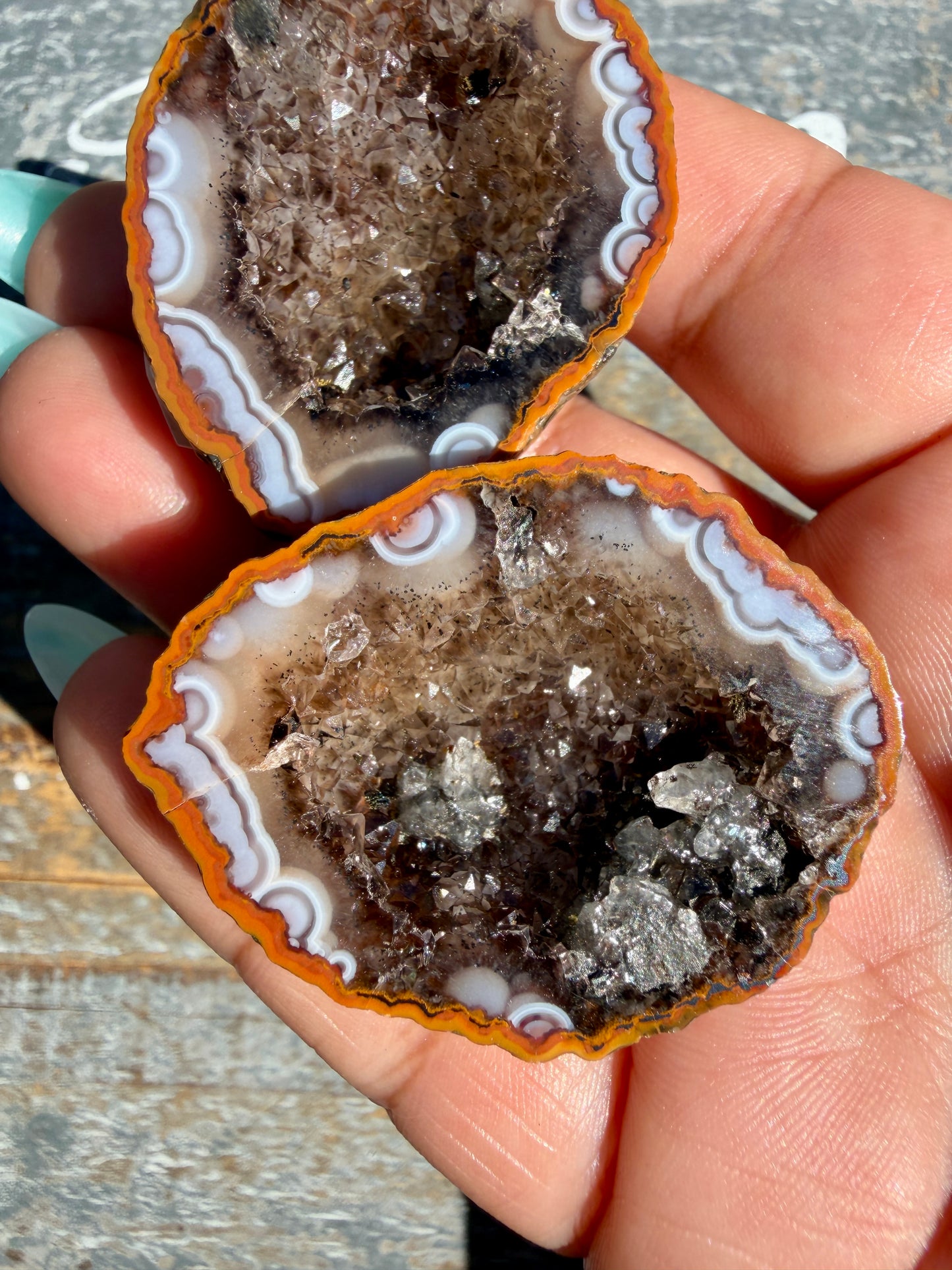 Gorgeous Druzy Agate Geode | Opt D