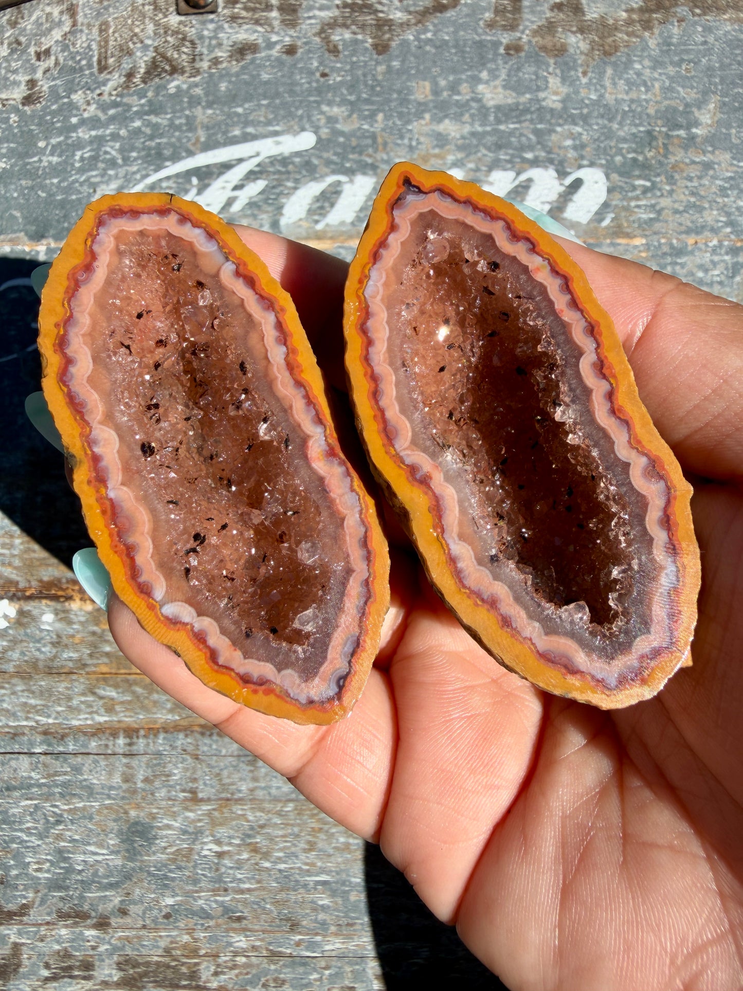 Gorgeous Druzy Agate Geode | Opt A