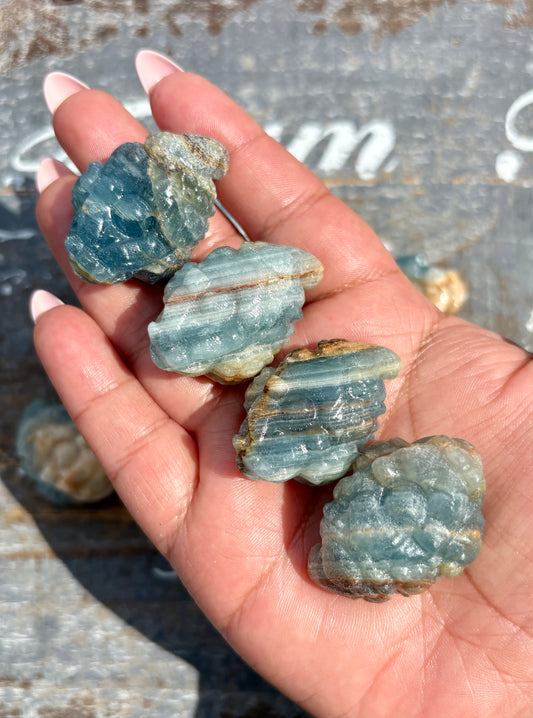 One (1) Blue Onyx Money Toad | Intuitively Chosen