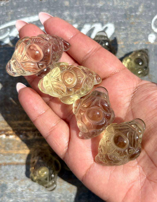 One (1) Citrine Money Toad | Intuitively Chosen