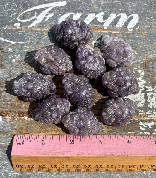 One (1) Lepidolite Money Toad | Intuitively Chosen