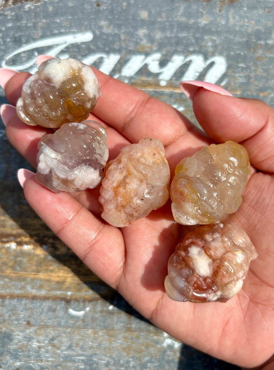 One (1) Flower Agate Money Toad | Intuitively Chosen