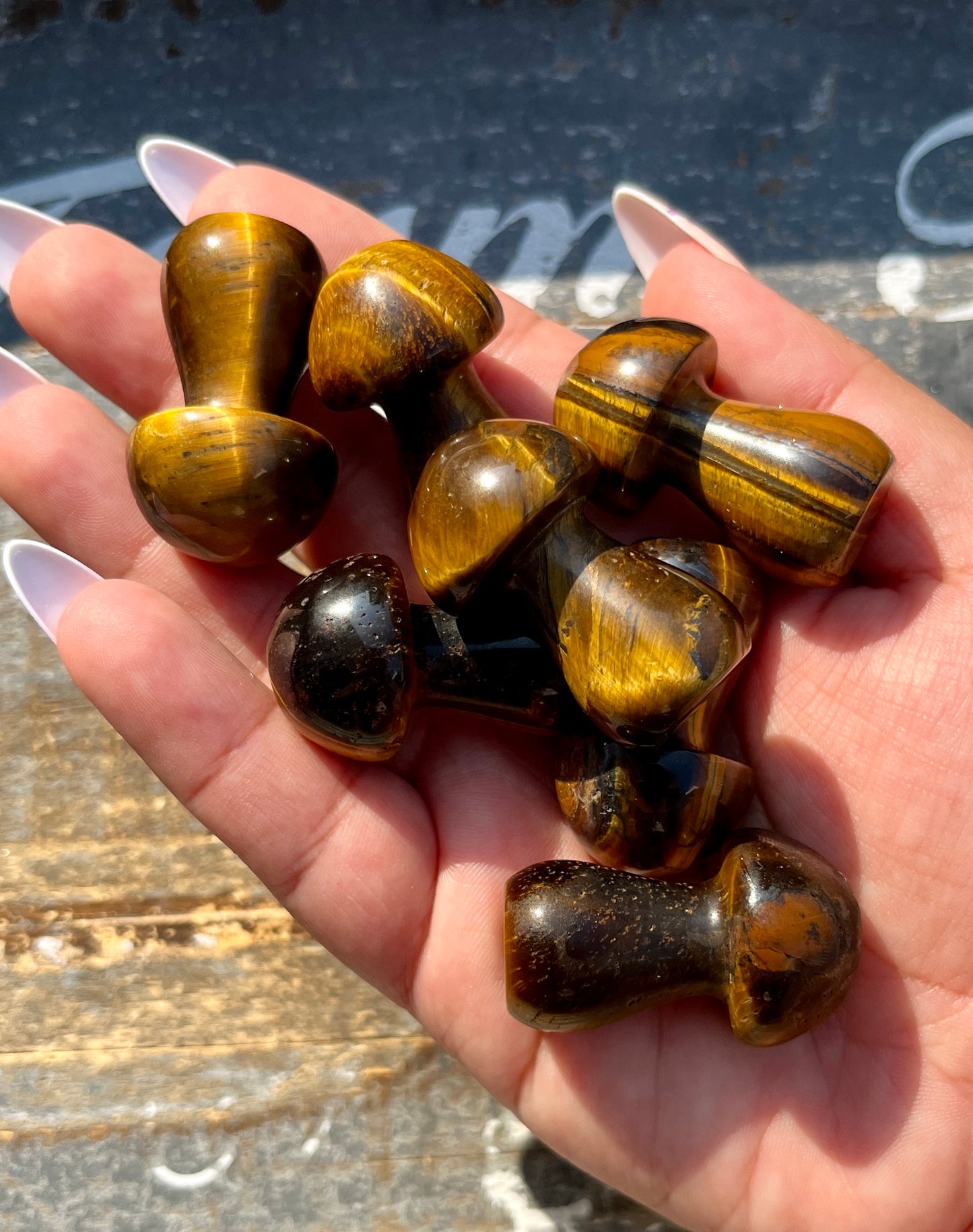 One (1) Tigers Eye Mushroom, Intuitively chosen