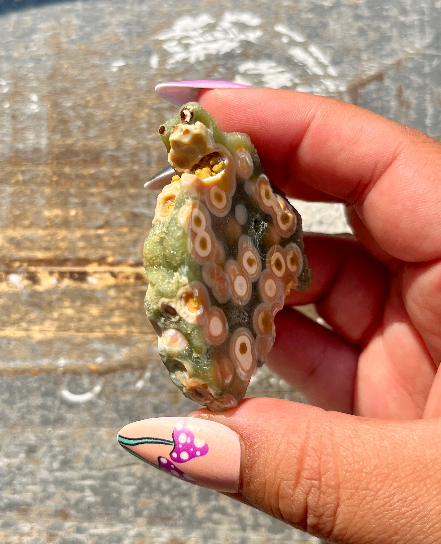 Gorgeous Authentic Ocean Jasper Mini Slab