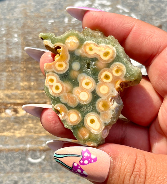 Gorgeous Authentic Ocean Jasper Mini Slab