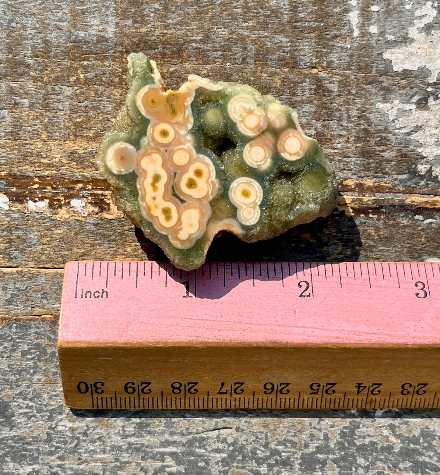 Gorgeous Authentic Ocean Jasper Mini Slab