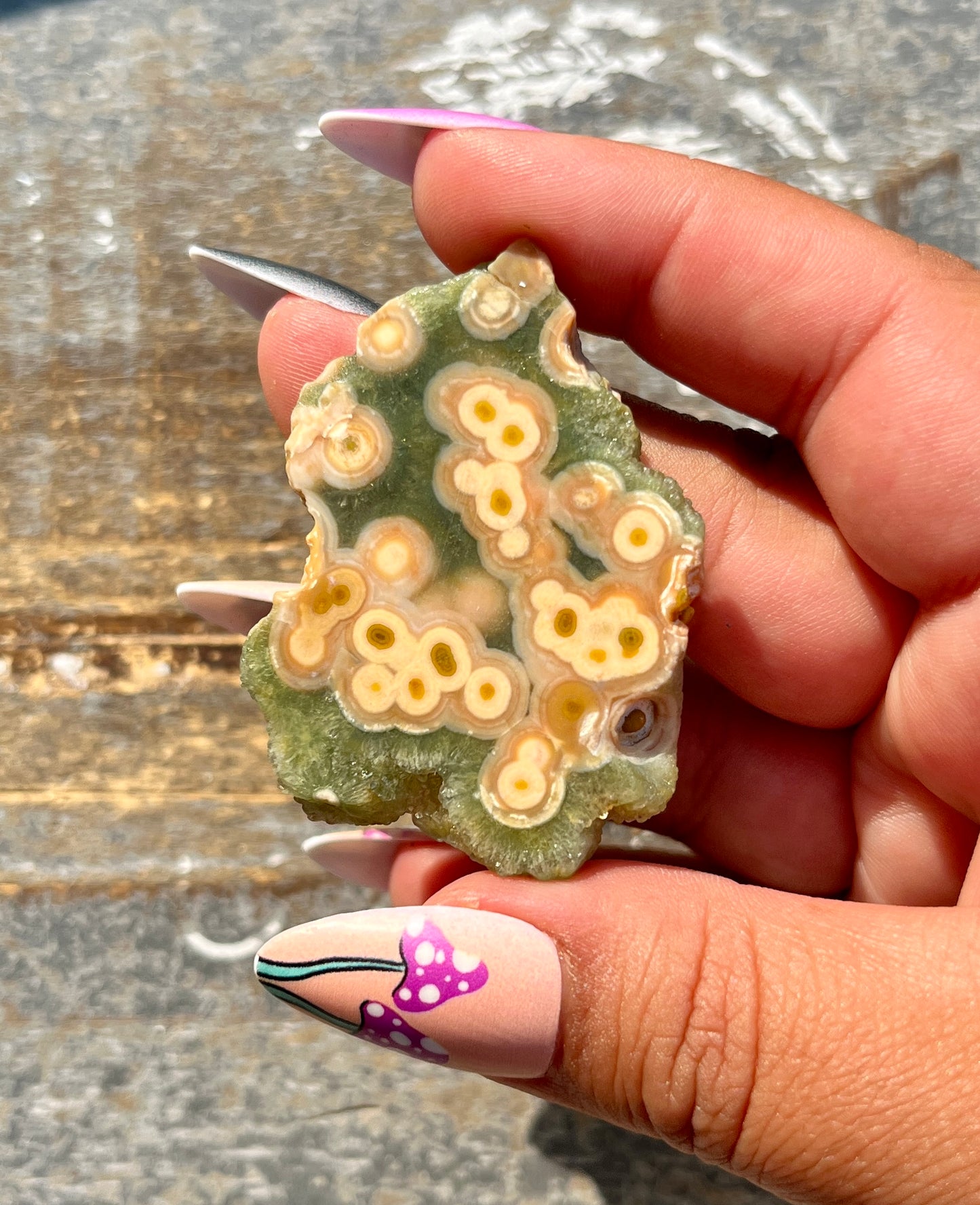 Gorgeous Authentic Ocean Jasper Mini Slab